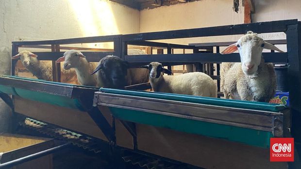 Suryana, atau yang kerap disapa dengan nama Pak Nana atau Pak RT di Pasar Manggis, Kecamatan Setiabudi, Jakarta Selatan.