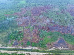Sudah Padam, Karhutla di Tol Balsam dan Bukit Tengkorak Tersisa Asap