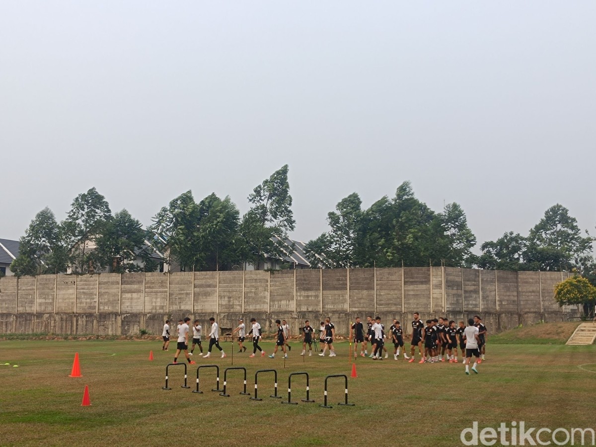 Foto: Muhammad Robbani/detikSport