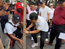 Jaga Canggu Tetap Hijau, Pemkab Badung Tanam Pohon & Tambah RTH