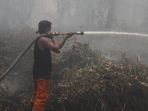 Kemenkes Ungkap Korban Karhutla di 6 Provinsi: 4 Meninggal, 347 Luka-luka