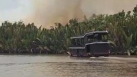 Pilu Wisata Tanjung Puting, Tawarkan Tur Lihat Alam tapi Alamnya sedang Minta Tolong