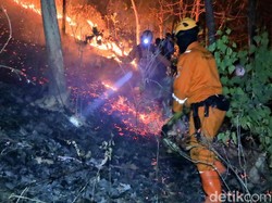 Medan Terjal Jadi Tantangan Padamkan Kebakaran Gunung Prongos Ponorogo