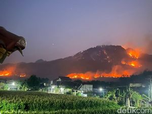 Gunung Prongos Ponorogo Membara! 5 Hektare Hutan Dilalap Api