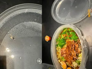 Kecewa! Pesanan Makan Rp277 Ribu Malah Berisi Tahi Burung