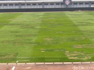 Penampakan Terkini Rumput Stadion GBLA