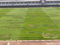 Penampakan Terkini Rumput Stadion GBLA