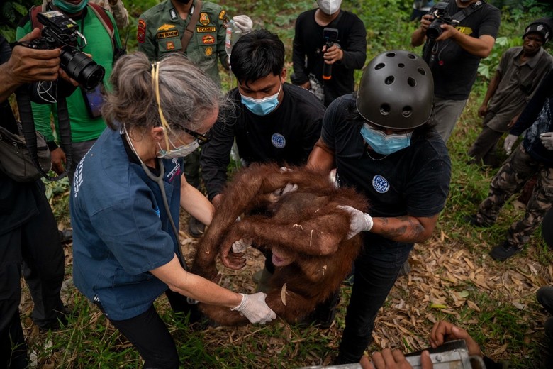 Hari Ke-10 Pemadaman Kebakaran Lahan Gambut di Riau