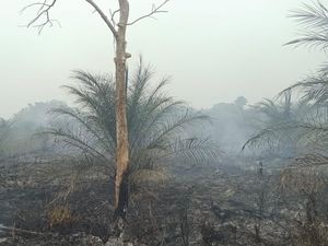 Hotspot di Muratara 60 Titik, Udara di Rawas Ilir Sangat Tidak Sehat