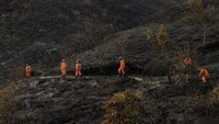 Tiga Hari Dilalap Api, Kebakaran Hutan Kolombia Akhirnya Berhasil Dipadamkan