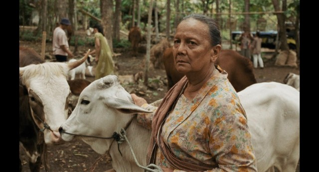 Good Luck! Film Ibuku (My Mother) Berkompetisi di Busan 2026