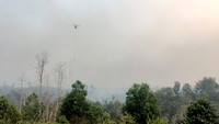Anggaran Karhutla Jambi Ditambah Rp30 Miliar, DPRD Minta Tepat Sasaran