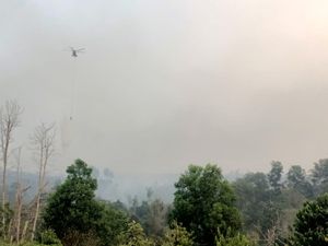 Anggaran Karhutla Jambi Ditambah Rp30 Miliar, DPRD Minta Tepat Sasaran