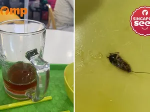Hiii! Wanita Ini Hampir Telan Kecoak Saat Minum Teh