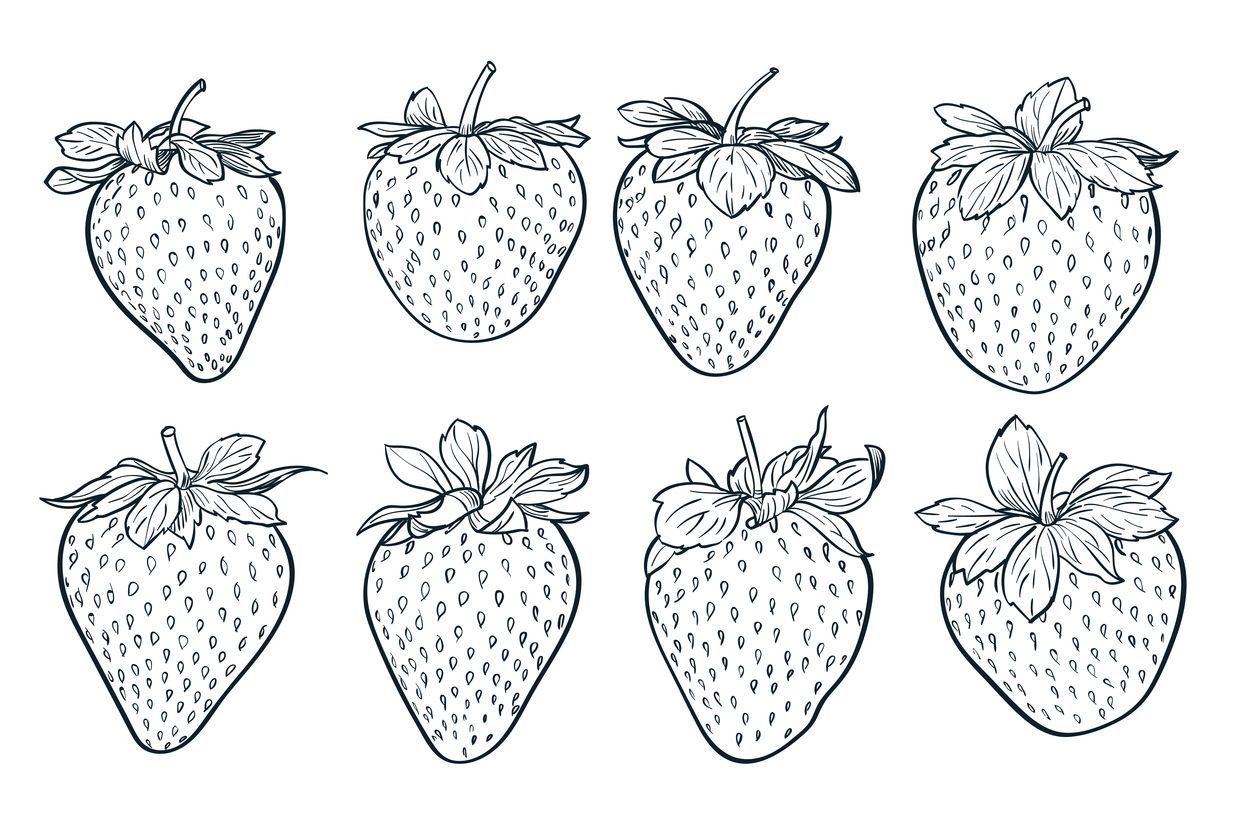 Ilustrasi Lembar Gambar Buah