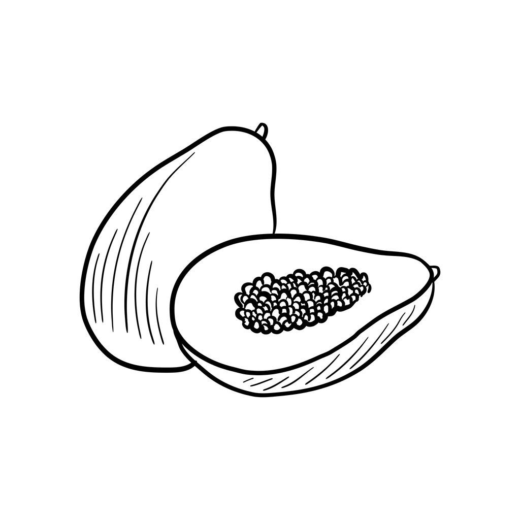 Ilustrasi Lembar Gambar Buah