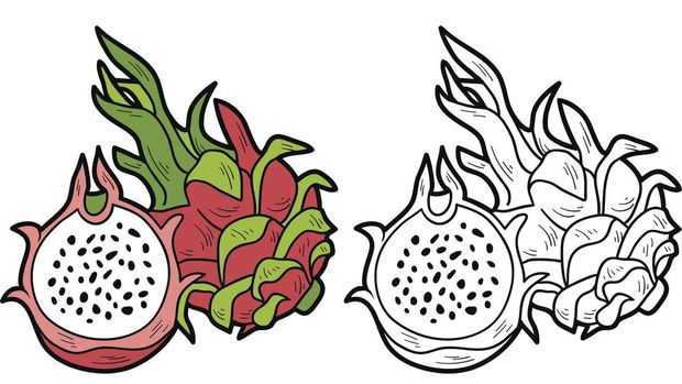 Ilustrasi Lembar Gambar Buah