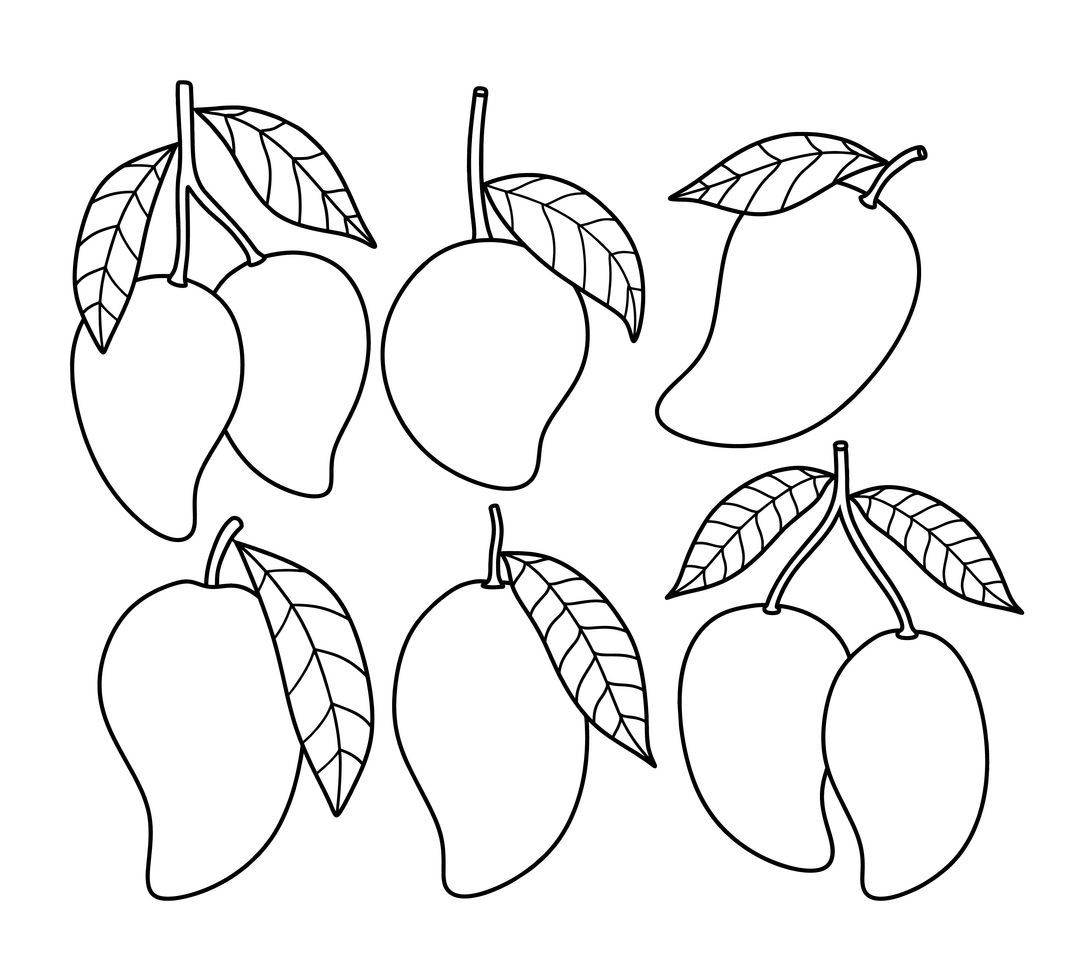 Ilustrasi Lembar Gambar Buah