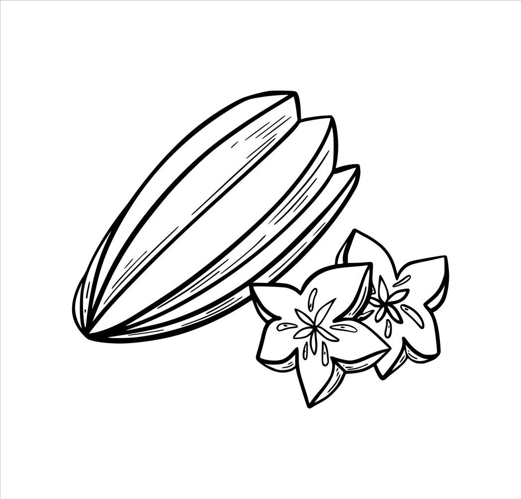 Ilustrasi Lembar Gambar Buah
