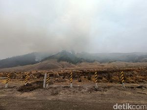 BPBD Jatim Ungkap Kondisi Terbaru Kebakaran Blok Pengol Gunung Bromo