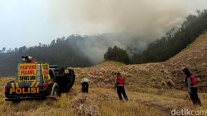 Api Karhutla Blok Pengol Gunung Bromo Makin Dekati Bukit Teletubbies