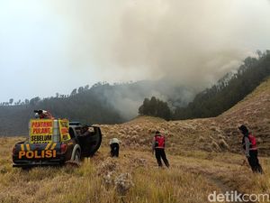 Kebakaran Hutan Blok Pengol Bromo Merembet ke Arah Bukit Teletubbies