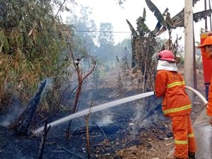 Bakar Sampah Sembarangan, Lahan 500 Meter Persegi di Tenjo Bogor Terbakar