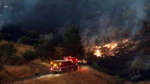 Kebakaran Lucas Meluas, 440 Hektare Hutan di California Dilalap Api