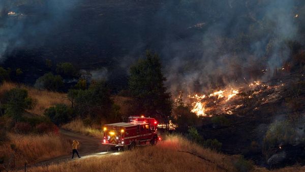 Kebakaran Lucas Meluas, 440 Hektare Hutan di California Dilalap Api