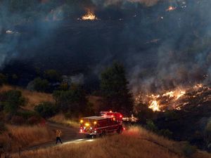 Kebakaran Lucas Meluas, 440 Hektare Hutan di California Dilalap Api