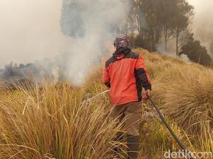 Sederet Kendala Pemadaman Karhutla Bromo: Kabut Halangi Water Bombing