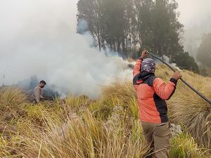 Api Terus Membesar dan Membakar Kawasan Blok Pengol Bromo Tengger