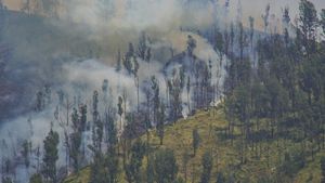 Kebakaran TNBTS, Akses Wisata Bromo dari Jemplang Ditutup