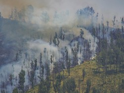 Video: Helikopter Waterbombing Padamkan Api Bromo, Terkendala Kabut-Angin