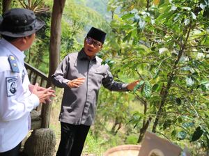 Mendes Sarankan Petani Kopi di Megamendung untuk Revitalisasi Tanaman