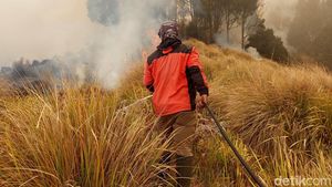 Petugas Gabungan Berjibaku Padamkan Karhutla Bromo