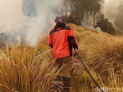 Petugas Gabungan Berjibaku Padamkan Karhutla Bromo