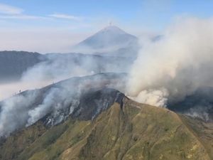 Video Kebakaran di Gunung Bromo Belum Padam, Terpantau Ada 10 Titik Api