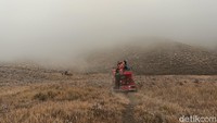 Dari Darat dan Udara, Begini Upaya Petugas Padamkan Karhutla Bromo