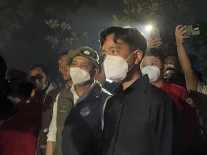 Tinjau Karhutla di Kubu Raya, Wapres dan Menhut Sampaikan Pesan untuk Petugas