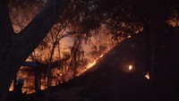 Hutan Bukit Pertapan Bayat Terbakar Malam Ini