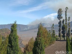 Kebakaran Bromo Makin Luas, Bukit Teletubbies Akhirnya Terbakar!