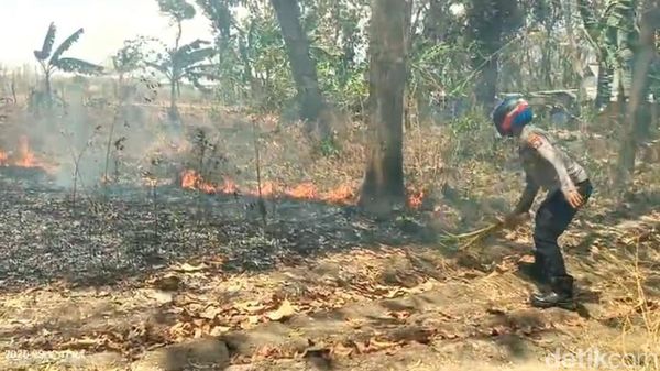 Potret Kebakaran Bromo, Api Terus Merembet Membakar Bukit Teletubbies