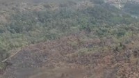 19 Jam Berjibaku, Kebakaran di Gunung Ciremai Berhasil Padam