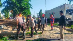 Potret Petugas Evakuasi Pohon Tumbang di Tengah Angin Kencang Sidoarjo