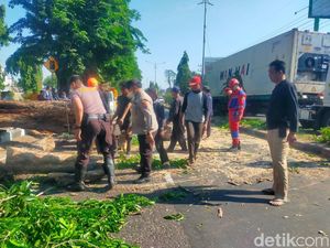Potret Petugas Evakuasi Pohon Tumbang di Tengah Angin Kencang Sidoarjo