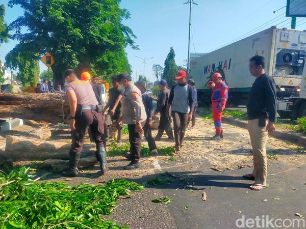 Potret Petugas Evakuasi Pohon Tumbang di Tengah Angin Kencang Sidoarjo
