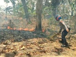 Cegah Karhutla, Polsek Panceng Rangkul Pengelola Hutan dan Warga