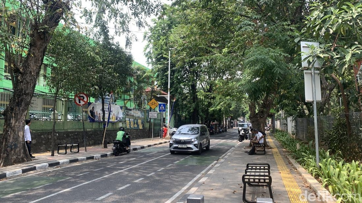 Viral Monyet Disebut Keliaran Ganggu Pejalan Kaki di Tebet, Pemilik beri penjelasan resmi