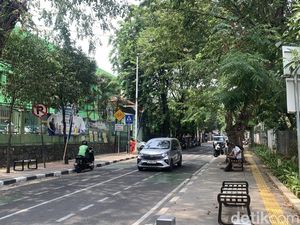 Viral Monyet Disebut Keliaran Ganggu Pejalan Kaki di Tebet, Pemilik Buka Suara